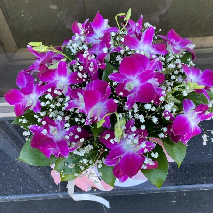 Орхидея дендробиум в коробке, фото 4